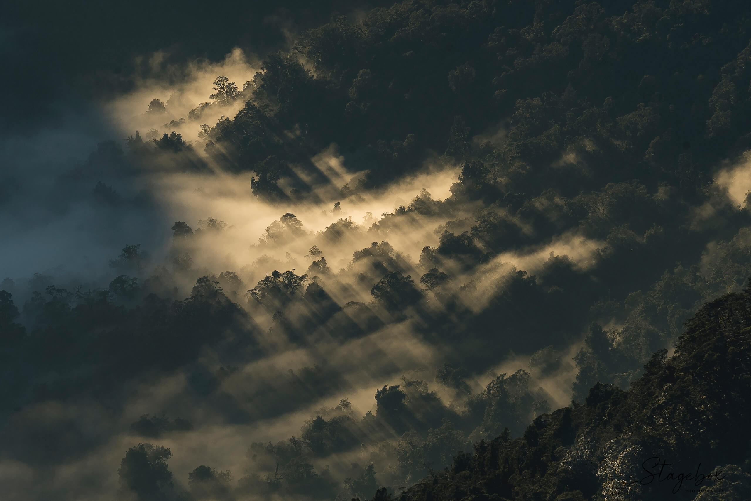 Lightroom Photography Workshop