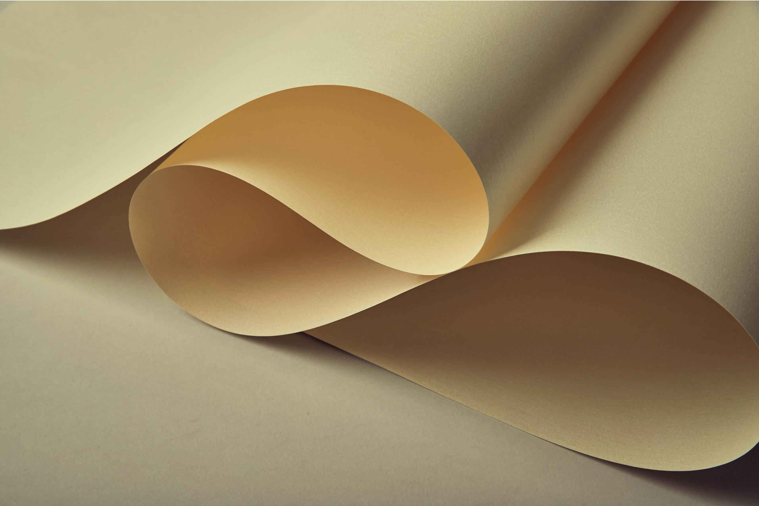 Light & Composition Photography Workshop