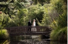 Nga Manu Reserve Waikanae Wedding 